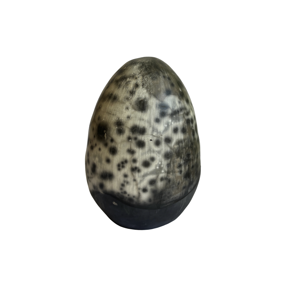ovo 5