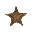 cinzeiro estrela